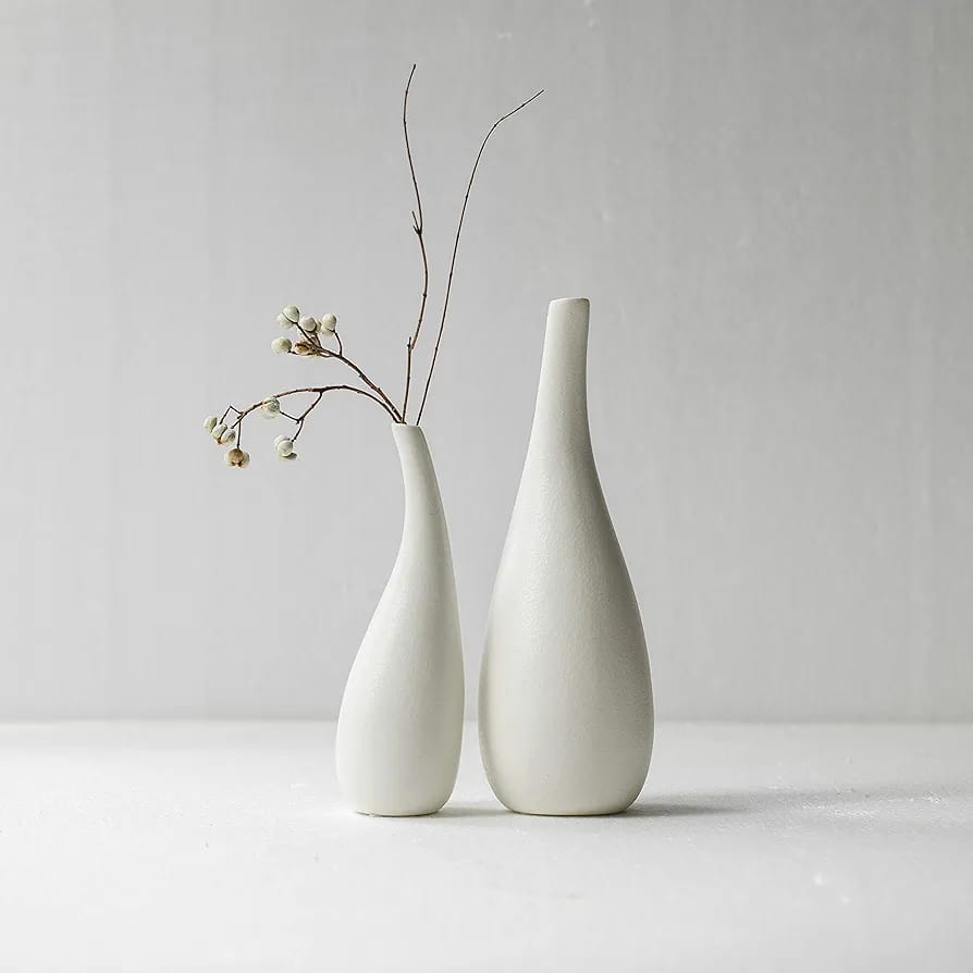 Aesthetic Vases