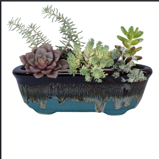 Bonsai Planter
